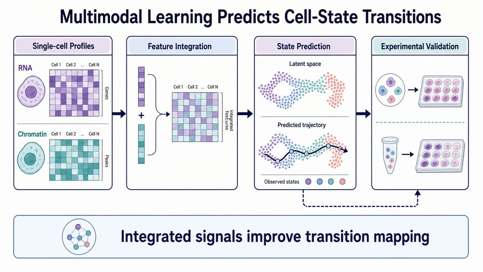Computational biology graphical abstract showing single-cell profiles, feature integration, state prediction, and validation
