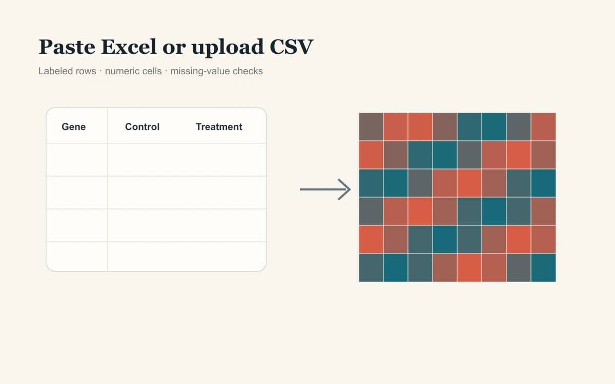 热图生成器导入 Excel 和 CSV 矩阵