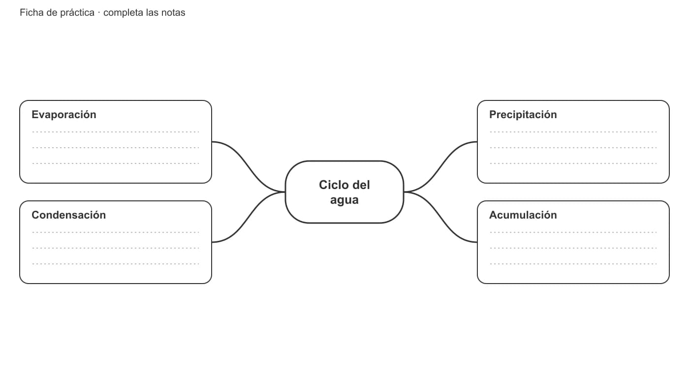 Ficha del ciclo del agua con cuatro títulos de rama en español y líneas vacías para responder