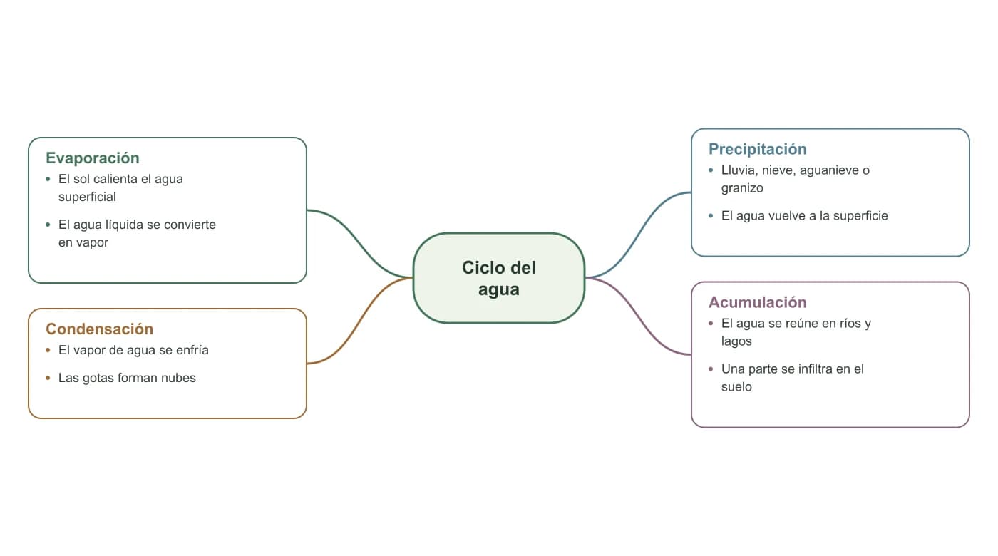 Diagrama del ciclo del agua con evaporación, condensación, precipitación y acumulación
