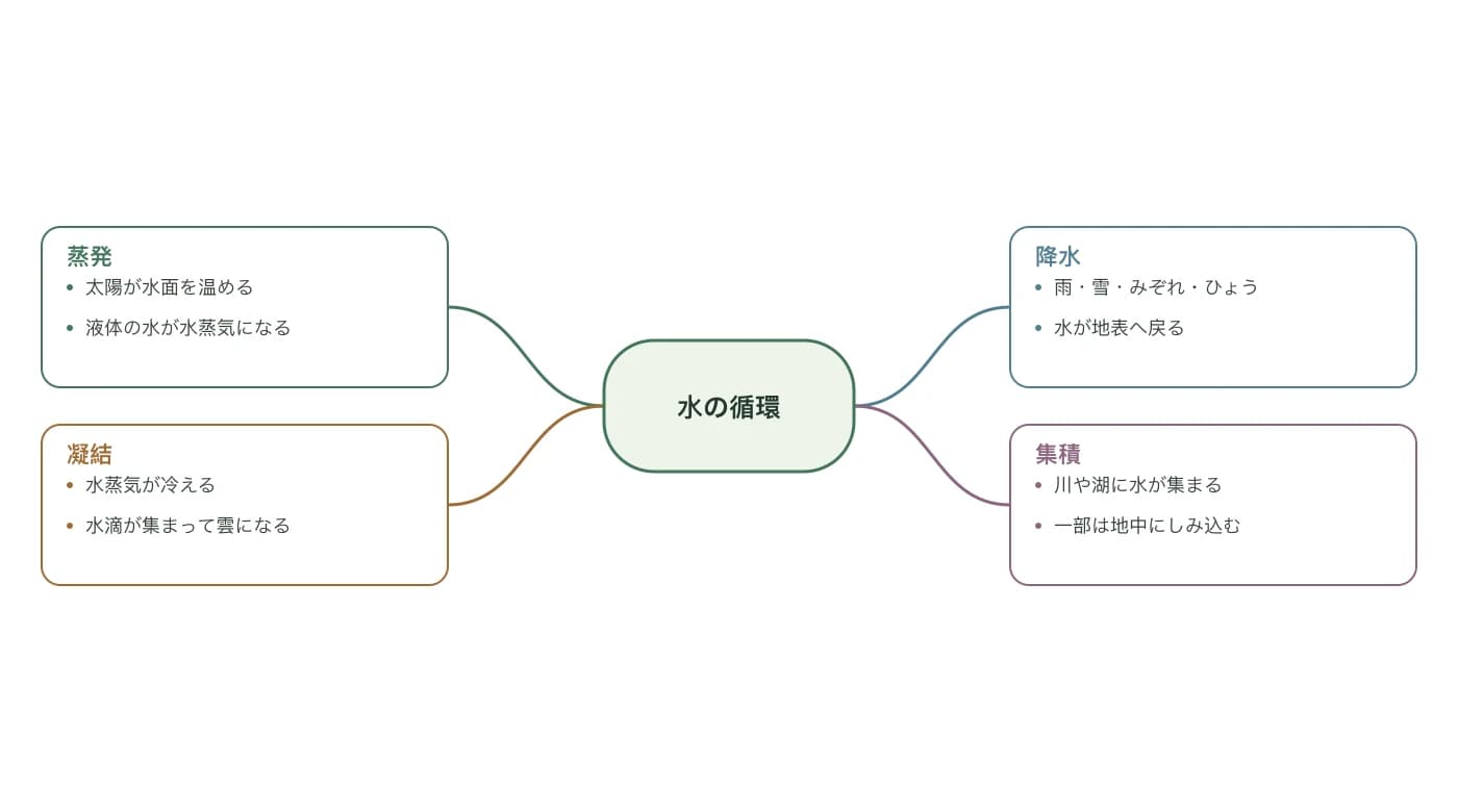 蒸発、凝結、降水、集積の4つの枝で水の循環を示すスパイダー図