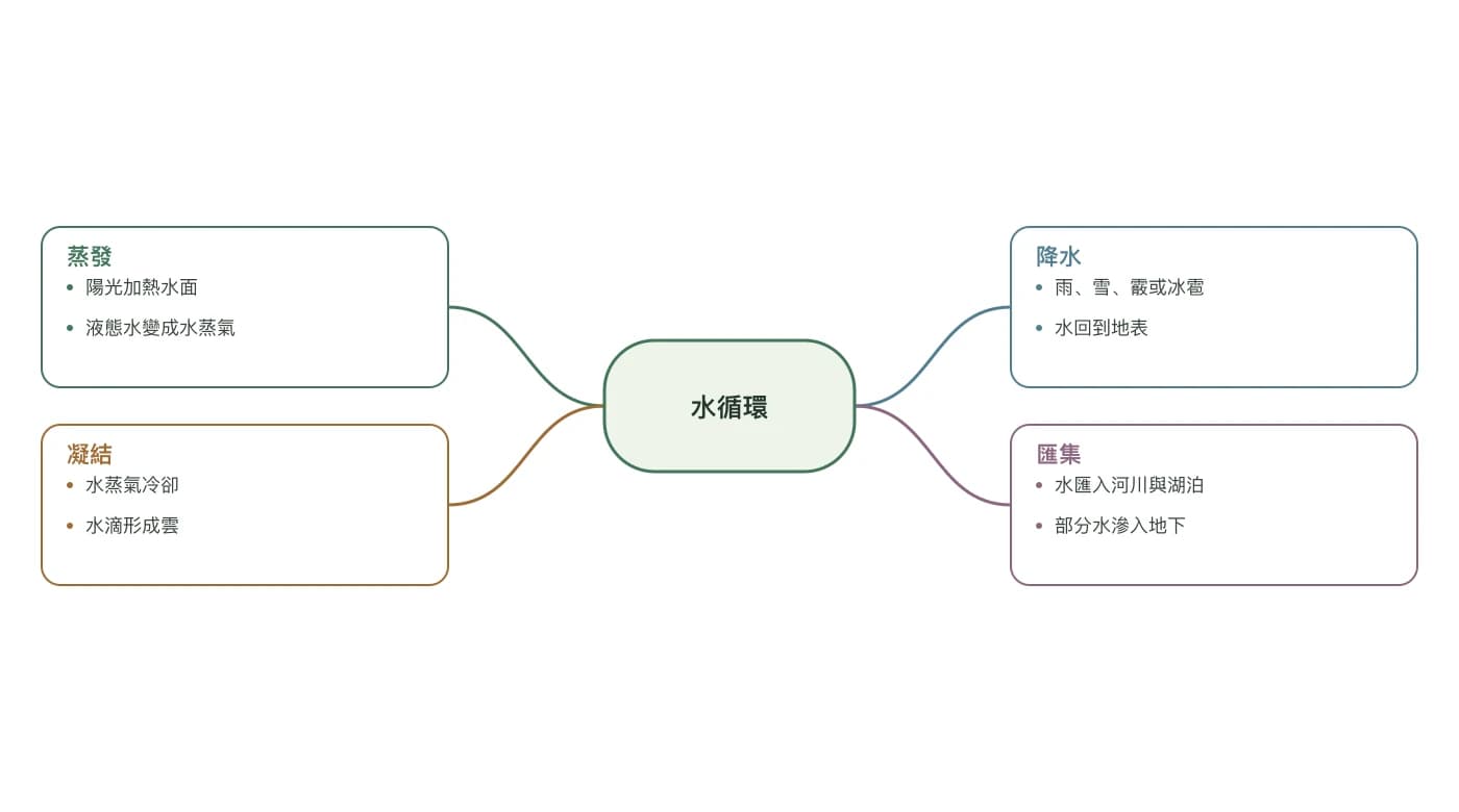 水循環蜘蛛圖，含蒸發、凝結、降水和匯集四個分支