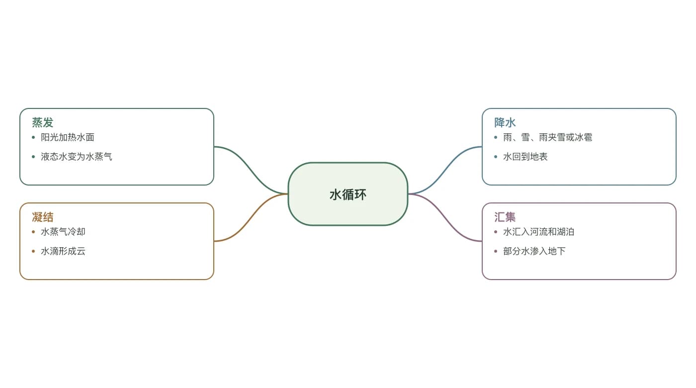 水循环蜘蛛图，含蒸发、凝结、降水和汇集四个分支