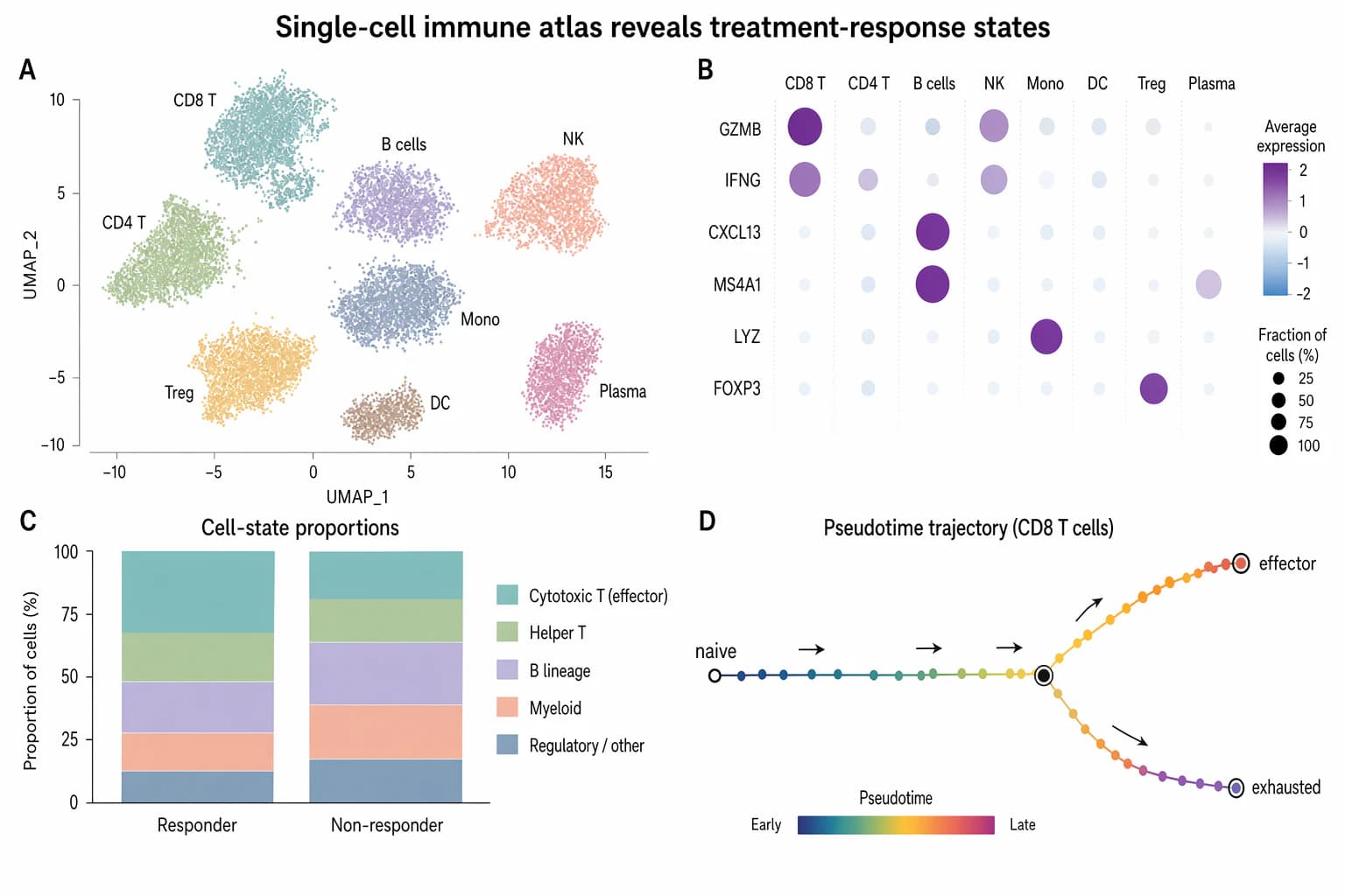 Einzelzell-Immunatlas für Therapieresponse-Zustände — Biomedizin